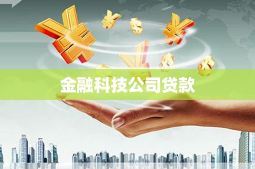安陆金融科技公司贷款