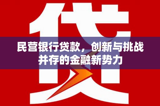 安陆民营银行贷款，创新与挑战并存的金融新势力
