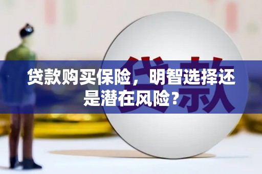 安陆贷款购买保险，明智选择还是潜在风险？