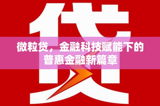 安陆微粒贷，金融科技赋能下的普惠金融新篇章