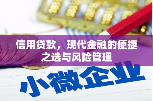 安陆信用贷款，现代金融的便捷之选与风险管理