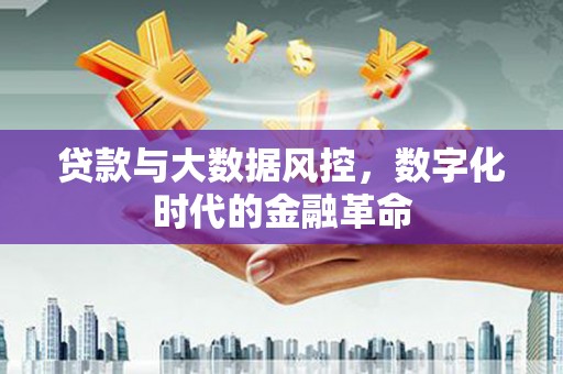 安陆贷款与大数据风控，数字化时代的金融革命