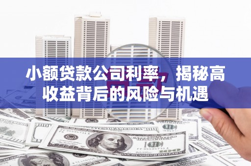 安陆小额贷款公司利率，揭秘高收益背后的风险与机遇