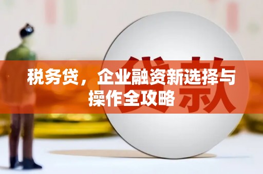 安陆税务贷，企业融资新选择与操作全攻略