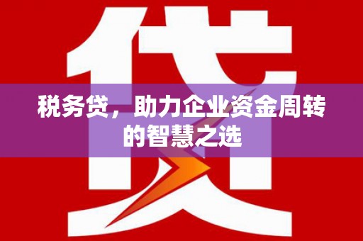 安陆税务贷，助力企业资金周转的智慧之选