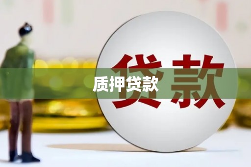 安陆质押贷款