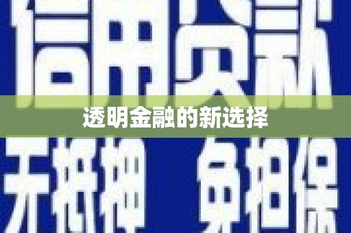 安陆透明金融的新选择