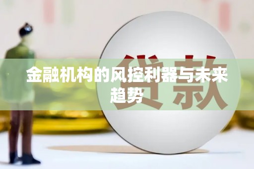 安陆金融机构的风控利器与未来趋势