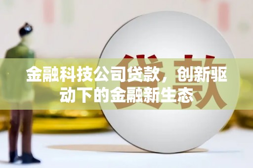安陆金融科技公司贷款，创新驱动下的金融新生态