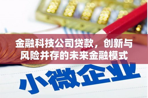 安陆金融科技公司贷款，创新与风险并存的未来金融模式