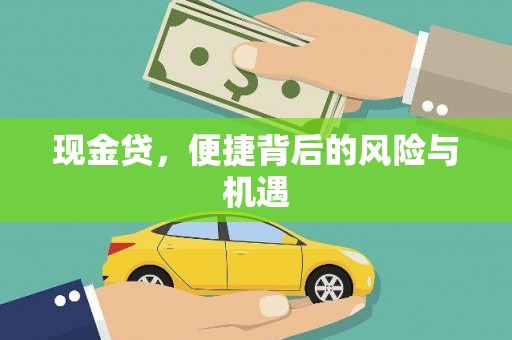 安陆现金贷，便捷背后的风险与机遇