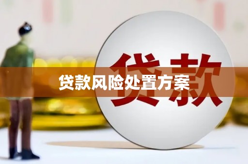 安陆贷款风险处置方案
