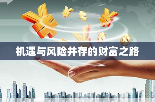 安陆机遇与风险并存的财富之路