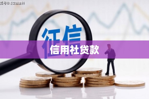 安陆信用社贷款