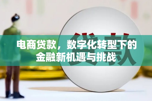 安陆电商贷款，数字化转型下的金融新机遇与挑战
