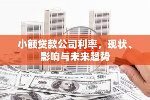 安陆小额贷款公司利率，现状、影响与未来趋势