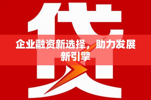 安陆企业融资新选择，助力发展新引擎