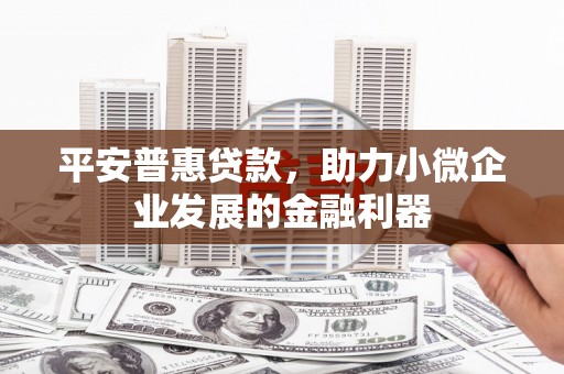 安陆平安普惠贷款，助力小微企业发展的金融利器