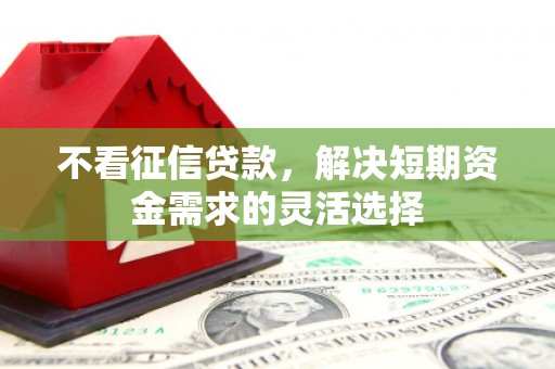 安陆不看征信贷款，解决短期资金需求的灵活选择