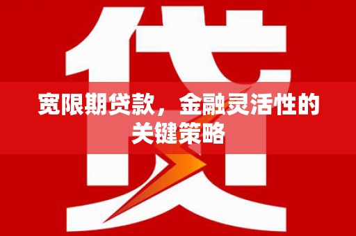 安陆宽限期贷款，金融灵活性的关键策略