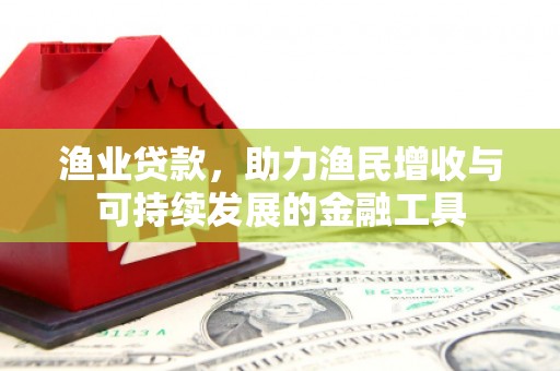安陆渔业贷款，助力渔民增收与可持续发展的金融工具