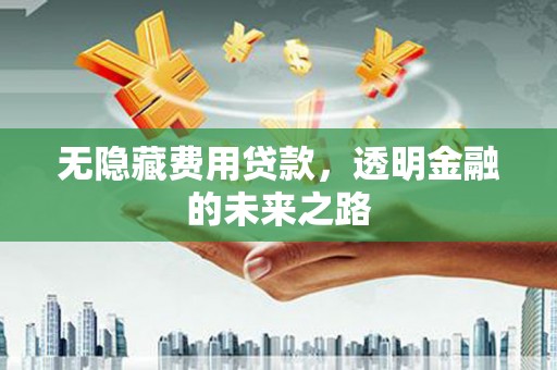 安陆无隐藏费用贷款，透明金融的未来之路