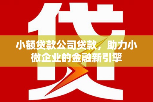 安陆小额贷款公司贷款，助力小微企业的金融新引擎