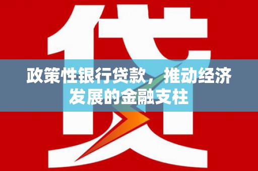 安陆政策性银行贷款，推动经济发展的金融支柱