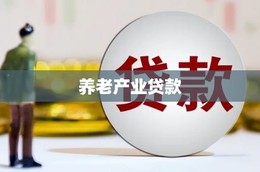 安陆养老产业贷款