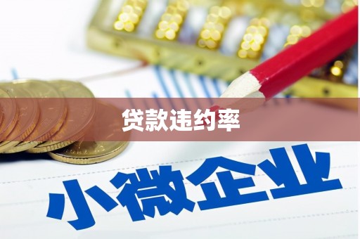 安陆贷款违约率