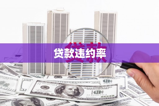 安陆贷款违约率