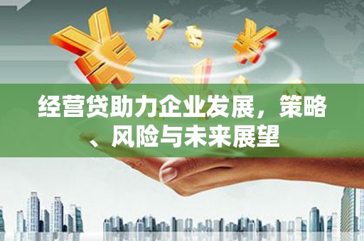 安陆经营贷助力企业发展，策略、风险与未来展望