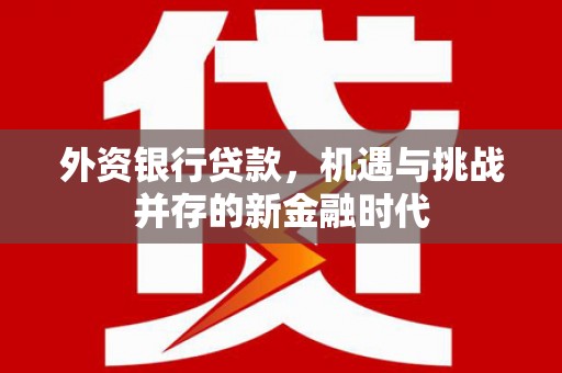 安陆外资银行贷款，机遇与挑战并存的新金融时代