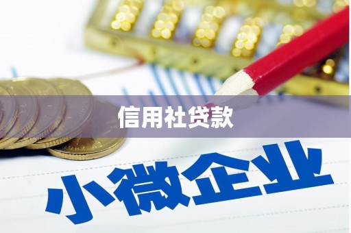 安陆信用社贷款