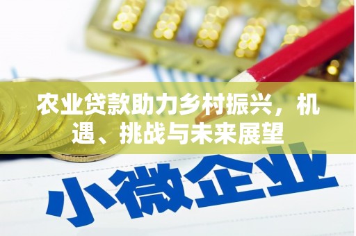 安陆农业贷款助力乡村振兴，机遇、挑战与未来展望