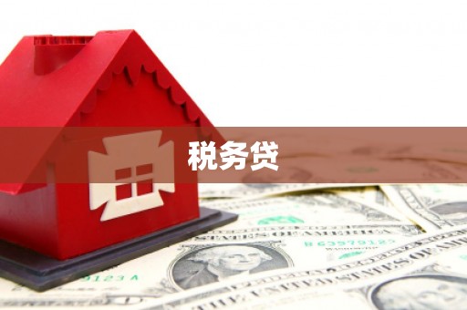 安陆税务贷
