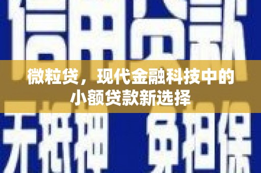 安陆微粒贷，现代金融科技中的小额贷款新选择