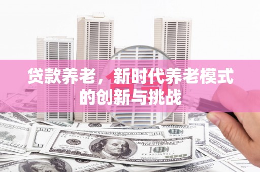 安陆贷款养老，新时代养老模式的创新与挑战