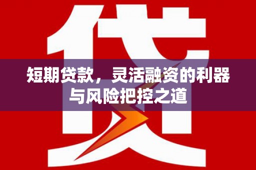 安陆短期贷款，灵活融资的利器与风险把控之道