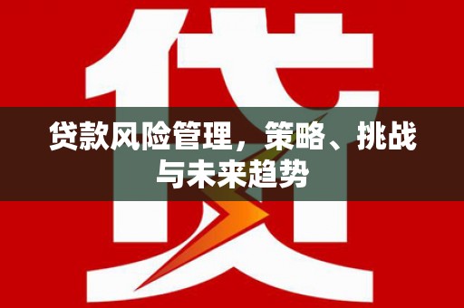 安陆贷款风险管理，策略、挑战与未来趋势