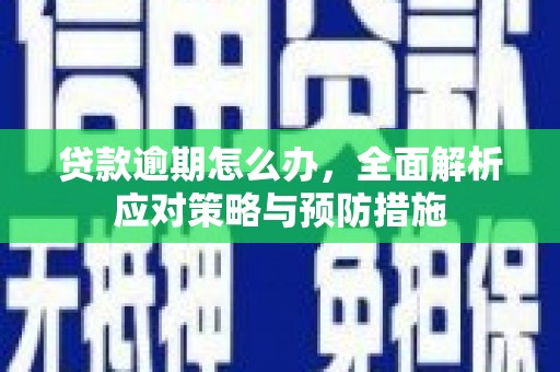 安陆贷款逾期怎么办，全面解析应对策略与预防措施