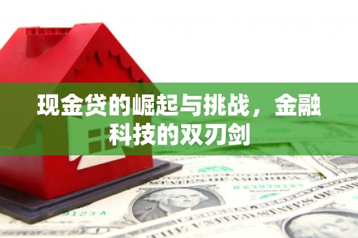 安陆现金贷的崛起与挑战，金融科技的双刃剑