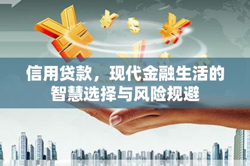 安陆信用贷款，现代金融生活的智慧选择与风险规避