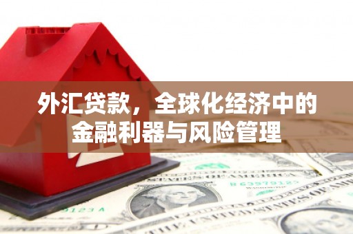 安陆外汇贷款，全球化经济中的金融利器与风险管理