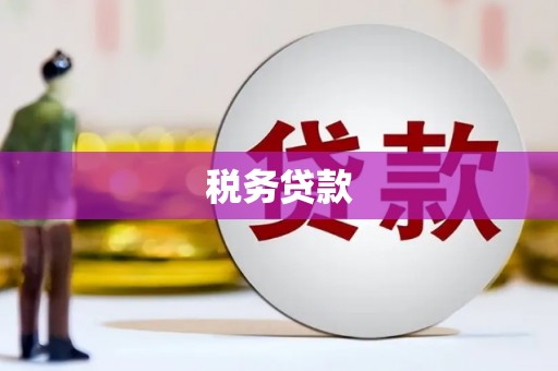 安陆税务贷款