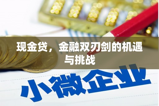 安陆现金贷，金融双刃剑的机遇与挑战