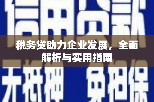 安陆税务贷助力企业发展，全面解析与实用指南