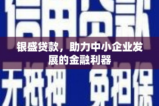 安陆银盛贷款，助力中小企业发展的金融利器