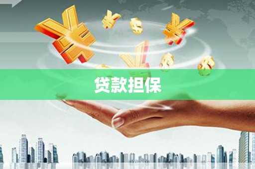 安陆贷款担保