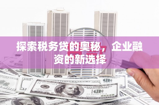 安陆探索税务贷的奥秘，企业融资的新选择